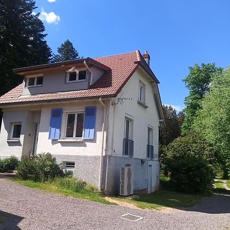 Vosges House 110 M2 In The Heart Of Nature L'Oree Du Bois Saint-Michel-sur-Meurthe Εξωτερικό φωτογραφία