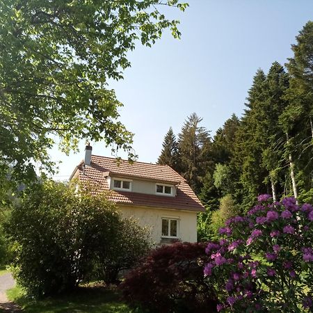 Vosges House 110 M2 In The Heart Of Nature L'Oree Du Bois Saint-Michel-sur-Meurthe Εξωτερικό φωτογραφία