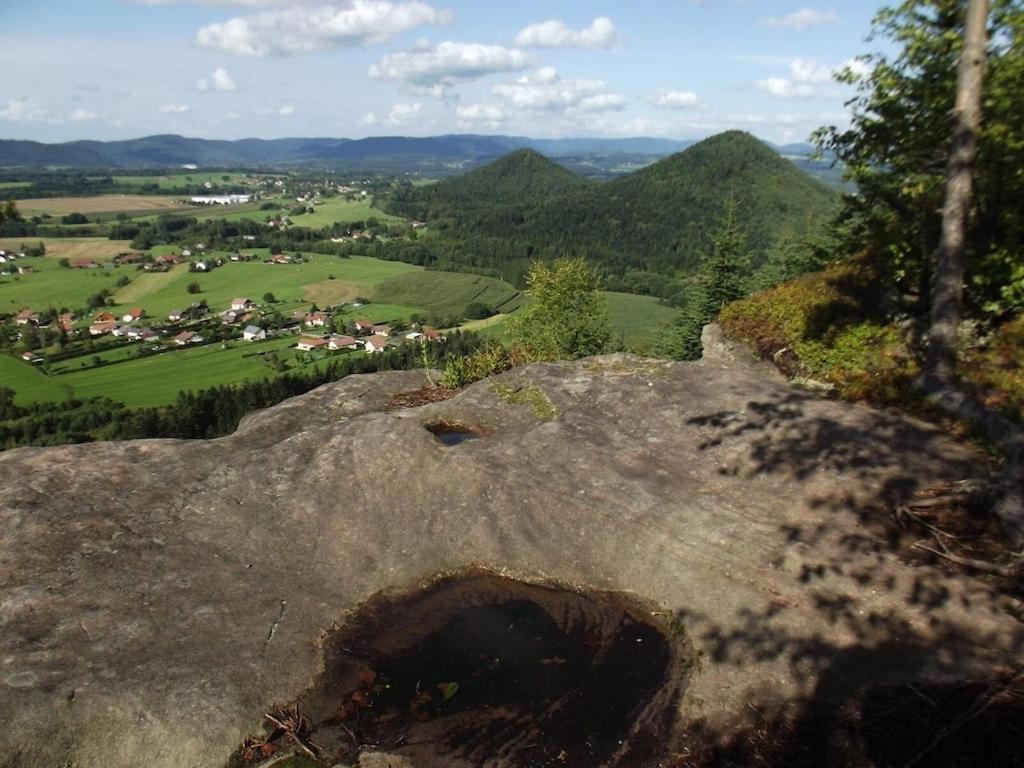 Vosges House 110 M2 In The Heart Of Nature L'Oree Du Bois Saint-Michel-sur-Meurthe Εξωτερικό φωτογραφία