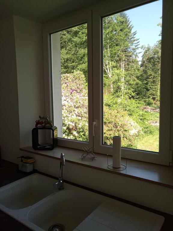 Vosges House 110 M2 In The Heart Of Nature L'Oree Du Bois Saint-Michel-sur-Meurthe Εξωτερικό φωτογραφία