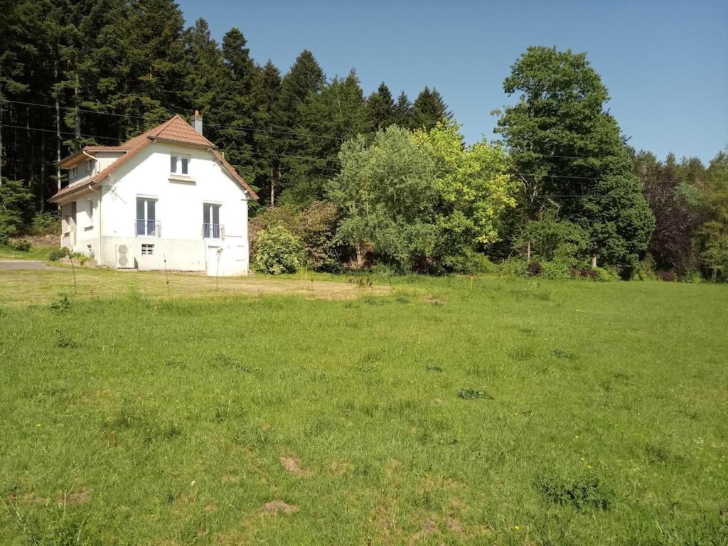 Vosges House 110 M2 In The Heart Of Nature L'Oree Du Bois Saint-Michel-sur-Meurthe Εξωτερικό φωτογραφία