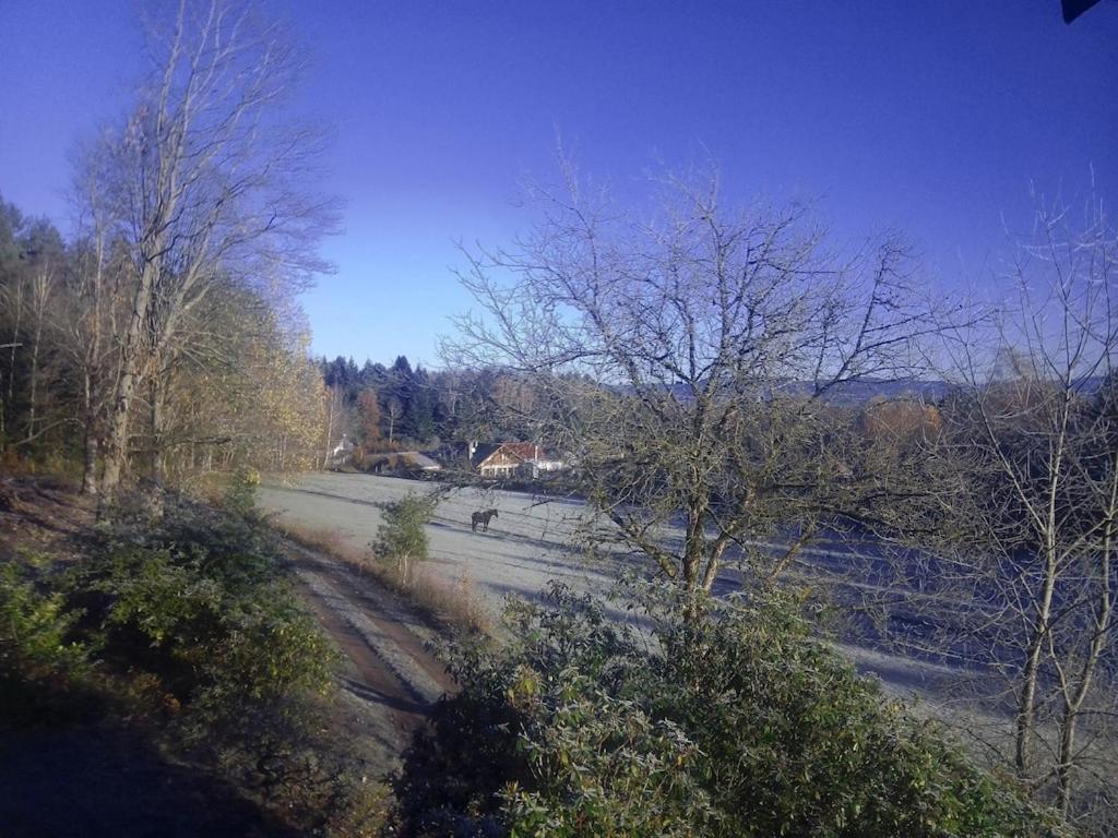 Vosges House 110 M2 In The Heart Of Nature L'Oree Du Bois Saint-Michel-sur-Meurthe Εξωτερικό φωτογραφία