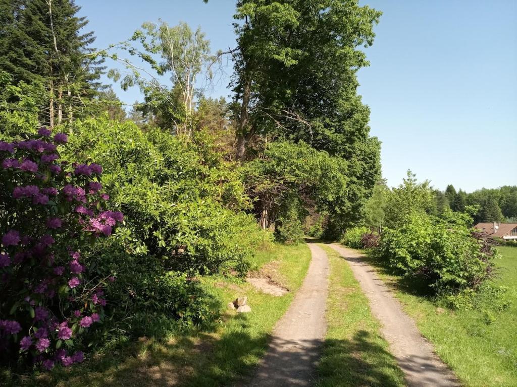Vosges House 110 M2 In The Heart Of Nature L'Oree Du Bois Saint-Michel-sur-Meurthe Εξωτερικό φωτογραφία